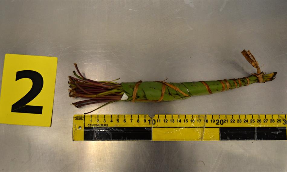 2017-9-27-1340foto 7.jpg